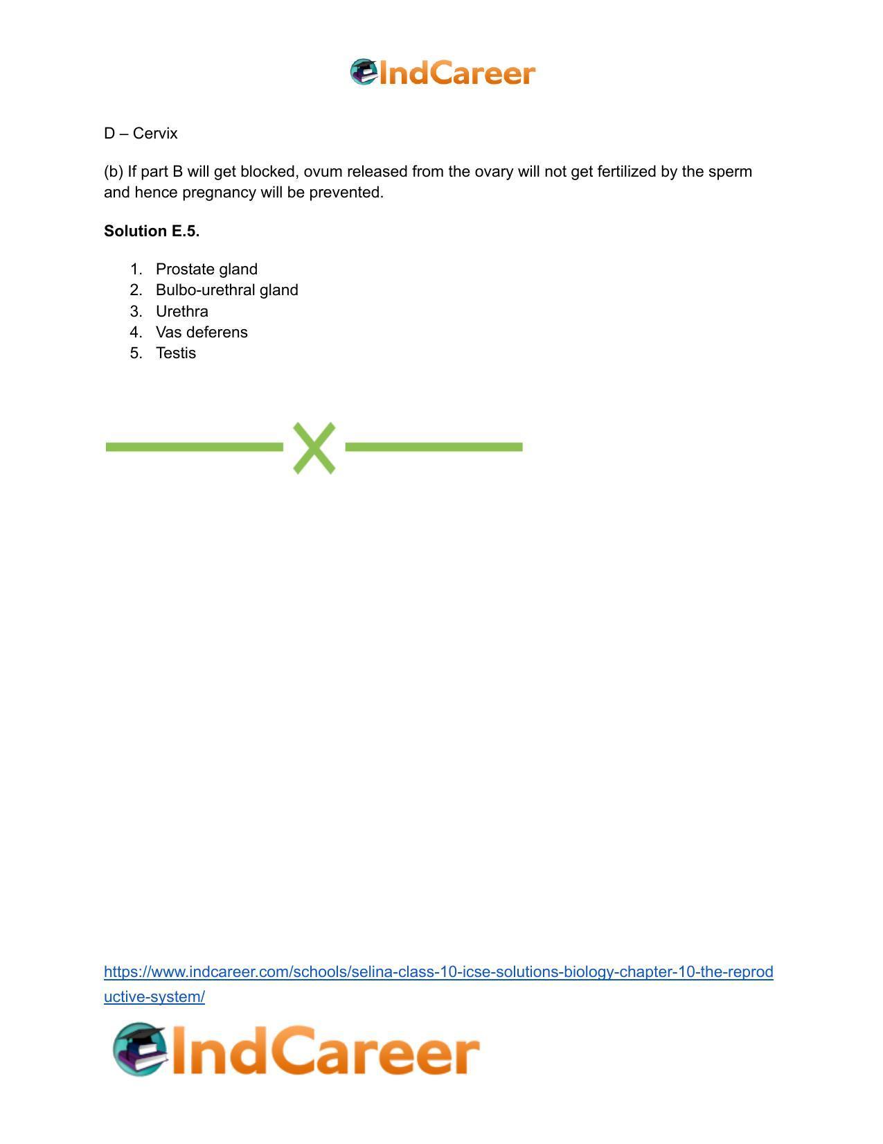 Selina Class 10 ICSE Solutions Biology : Chapter 10- The Reproductive System - Page 15