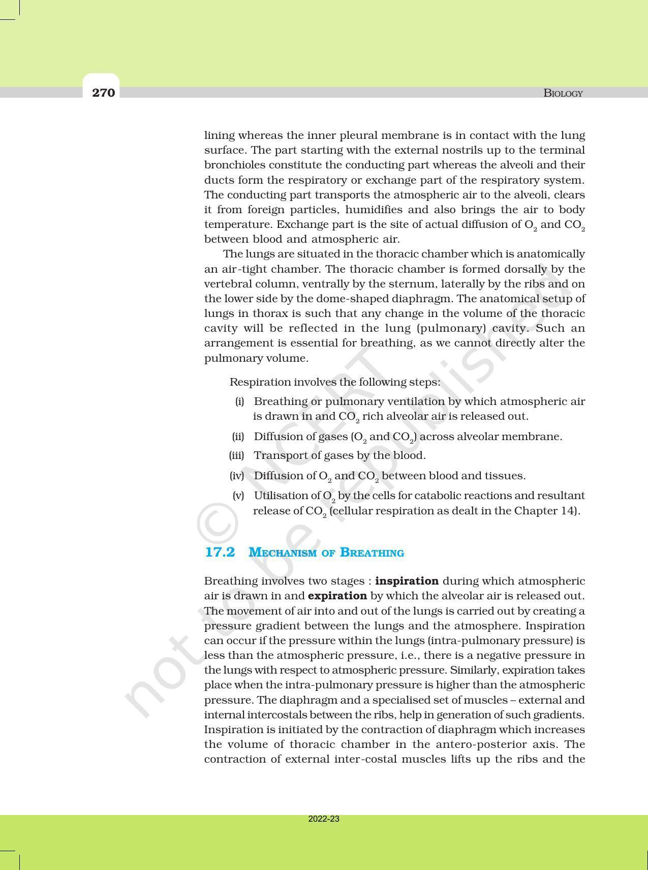 NCERT Book for Class 11 Biology Chapter 17 Breathing and Exchange of Gases - Page 3