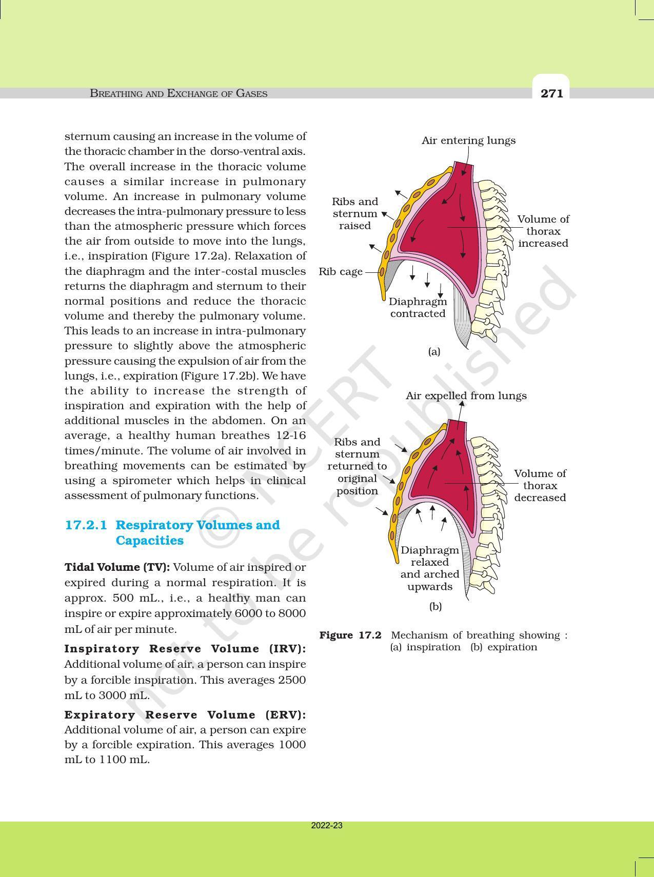 NCERT Book for Class 11 Biology Chapter 17 Breathing and Exchange of Gases - Page 4
