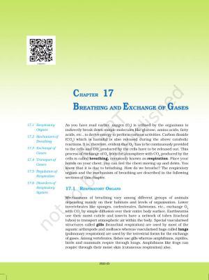 NCERT Book for Class 11 Biology Chapter 17 Breathing and Exchange of Gases