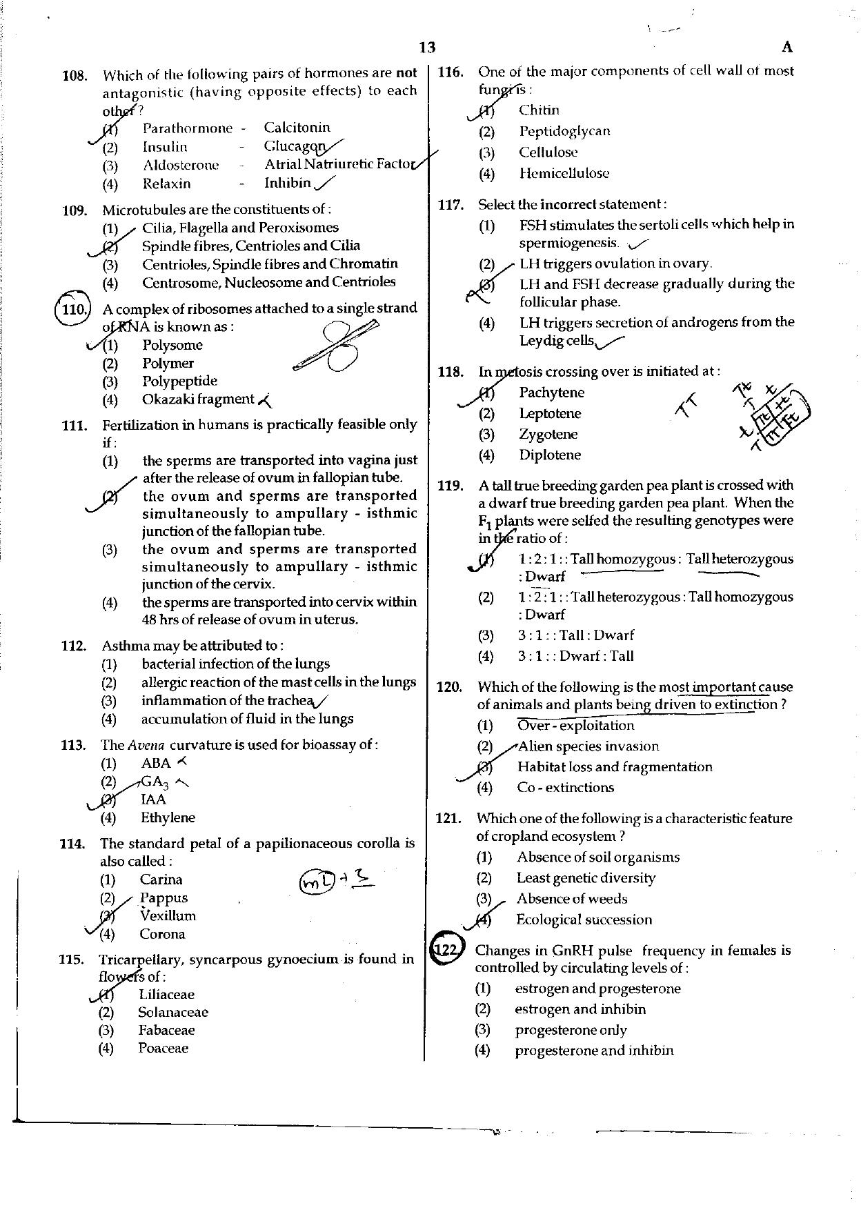 NEET Code A/ P/ W 2016 Question Paper - Page 13