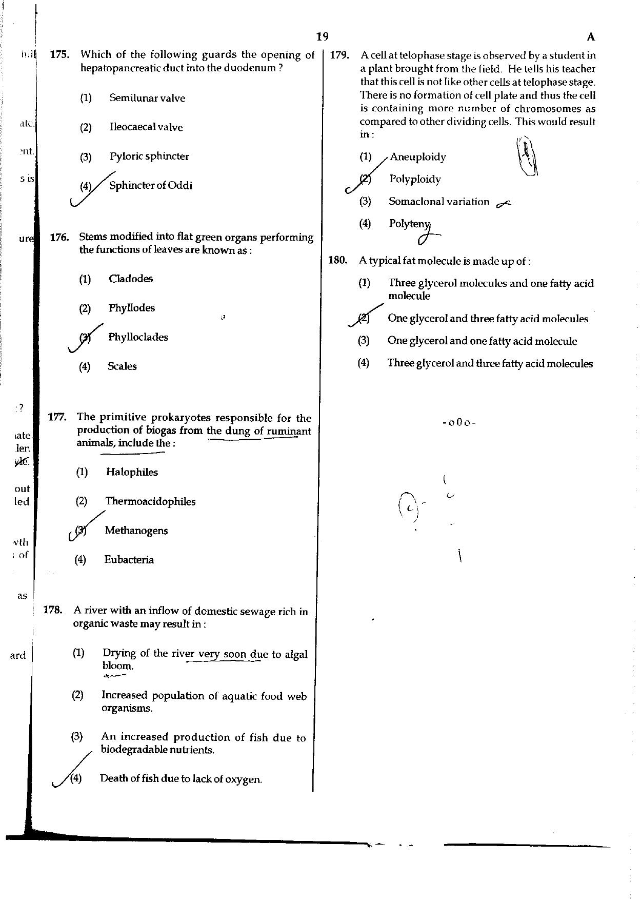 NEET Code A/ P/ W 2016 Question Paper - Page 19