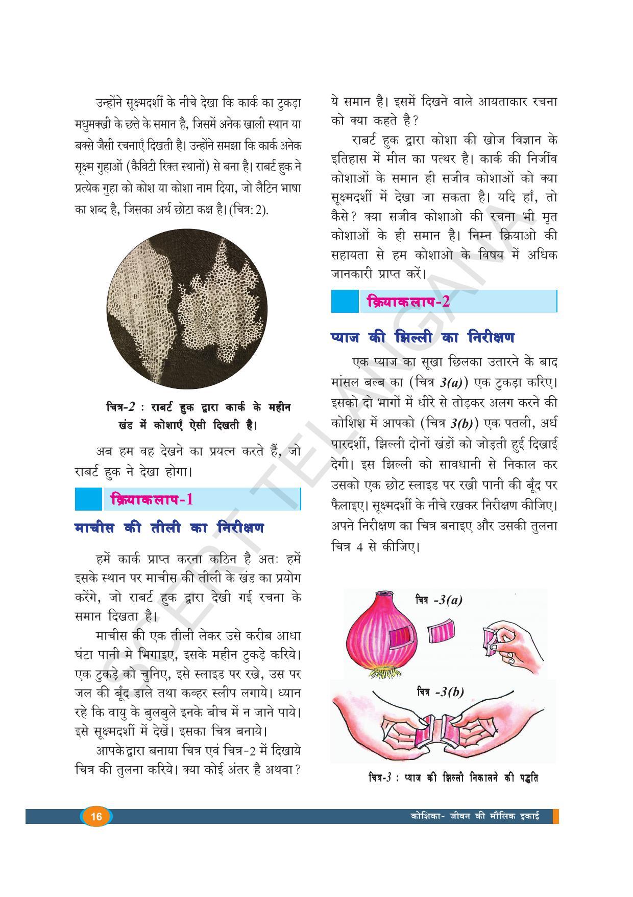 TS SCERT Class 8 Biological Science (Hindi Medium) Text Book - Page 28
