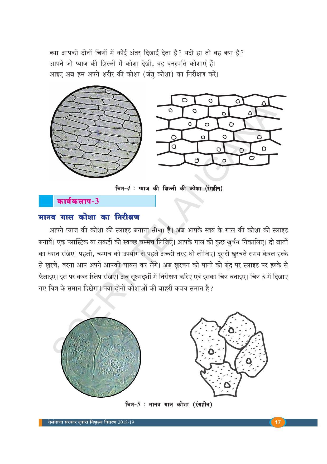 TS SCERT Class 8 Biological Science (Hindi Medium) Text Book - Page 29