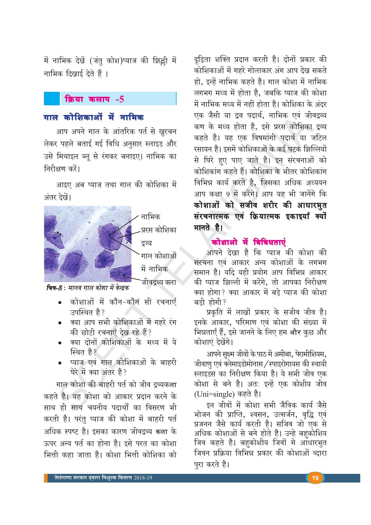 TS SCERT Class 8 Biological Science (Hindi Medium) Text Book - Page 31
