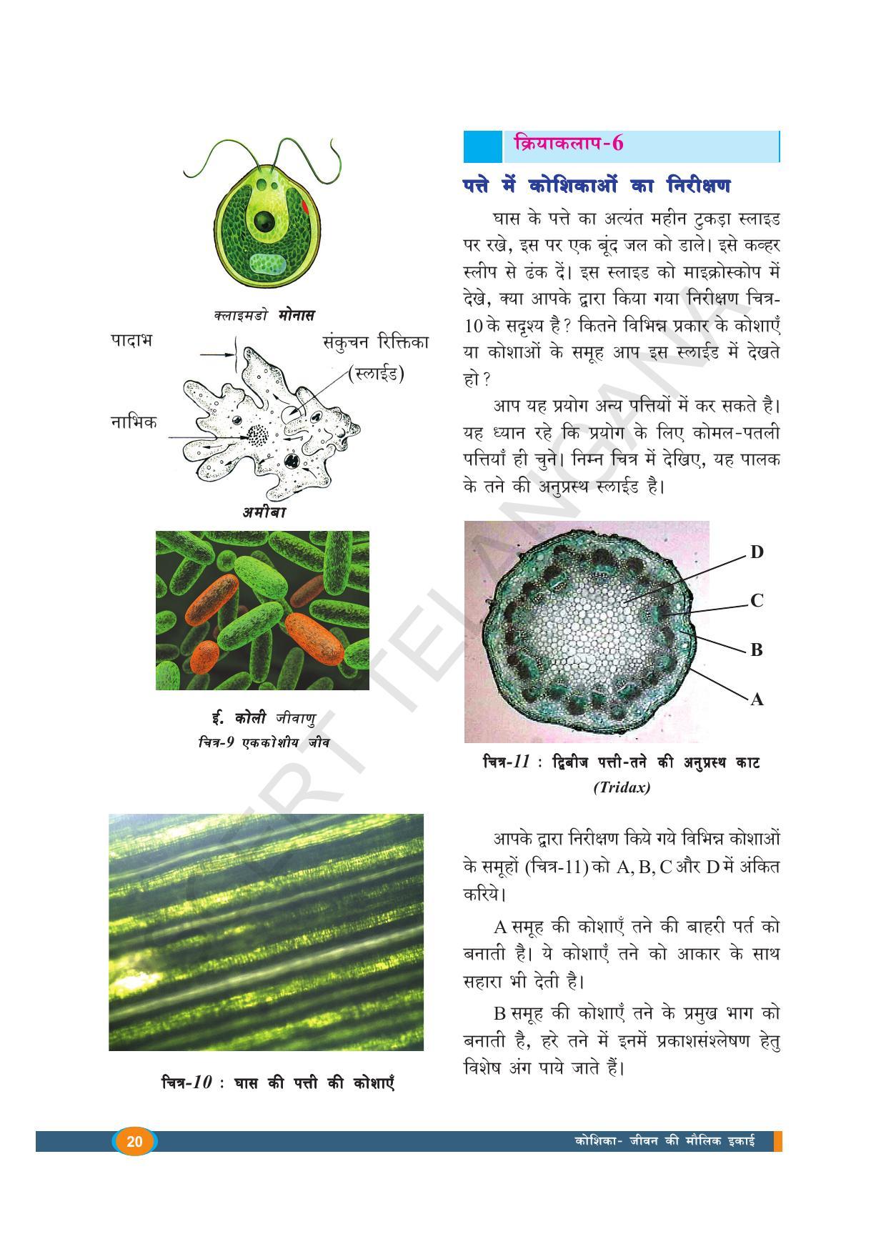 TS SCERT Class 8 Biological Science (Hindi Medium) Text Book - Page 32