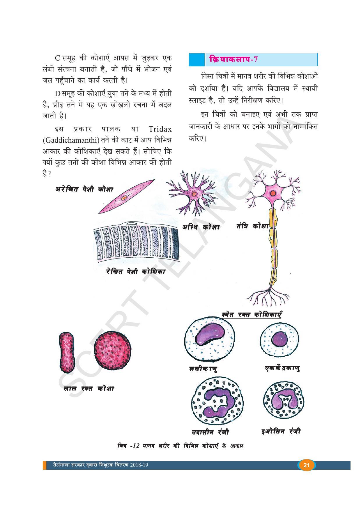 TS SCERT Class 8 Biological Science (Hindi Medium) Text Book - Page 33