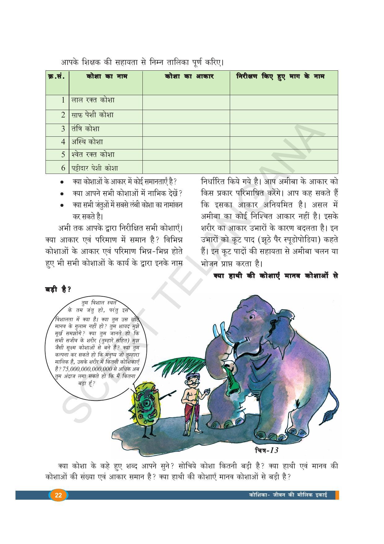 TS SCERT Class 8 Biological Science (Hindi Medium) Text Book - Page 34