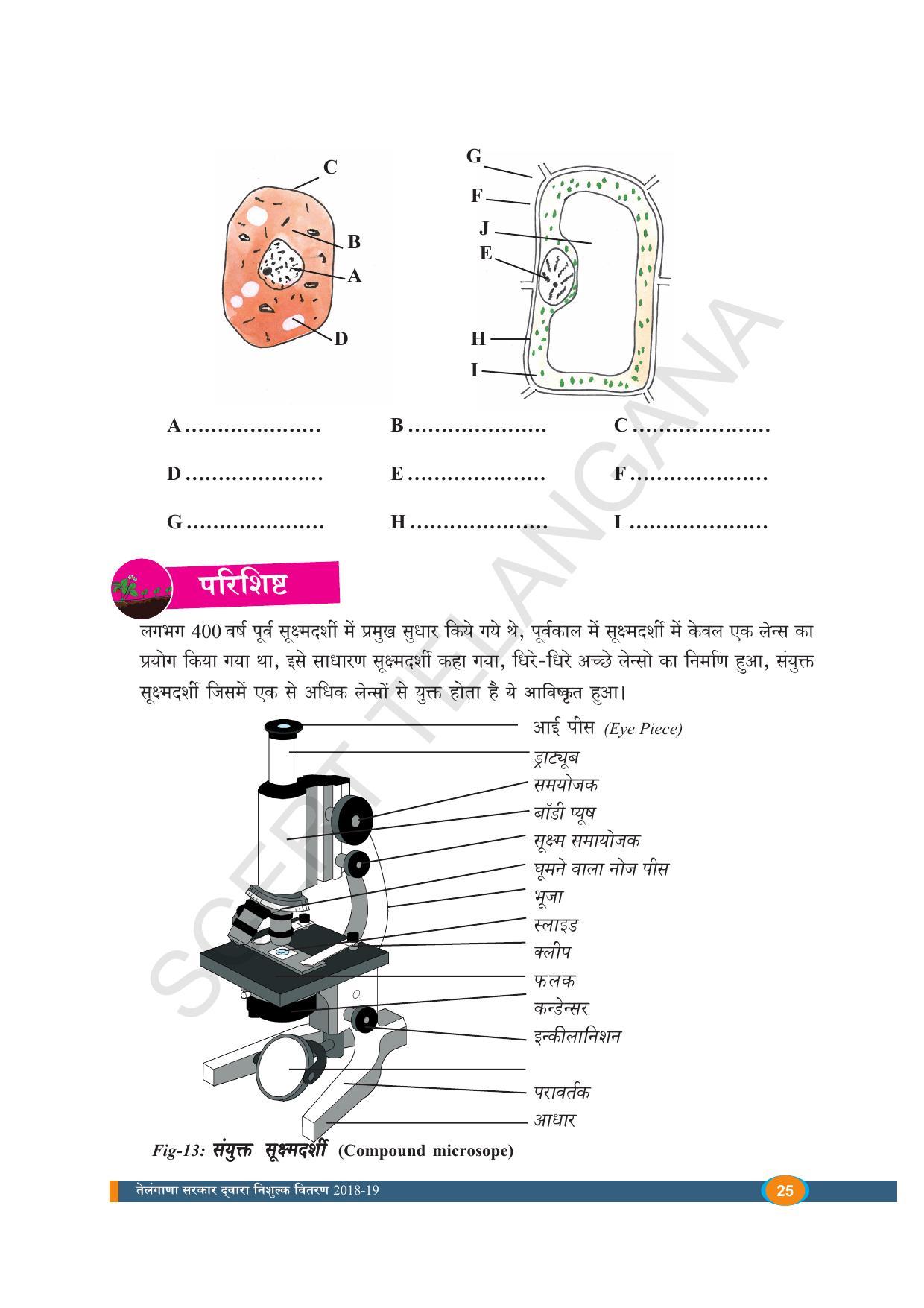 TS SCERT Class 8 Biological Science (Hindi Medium) Text Book - Page 37