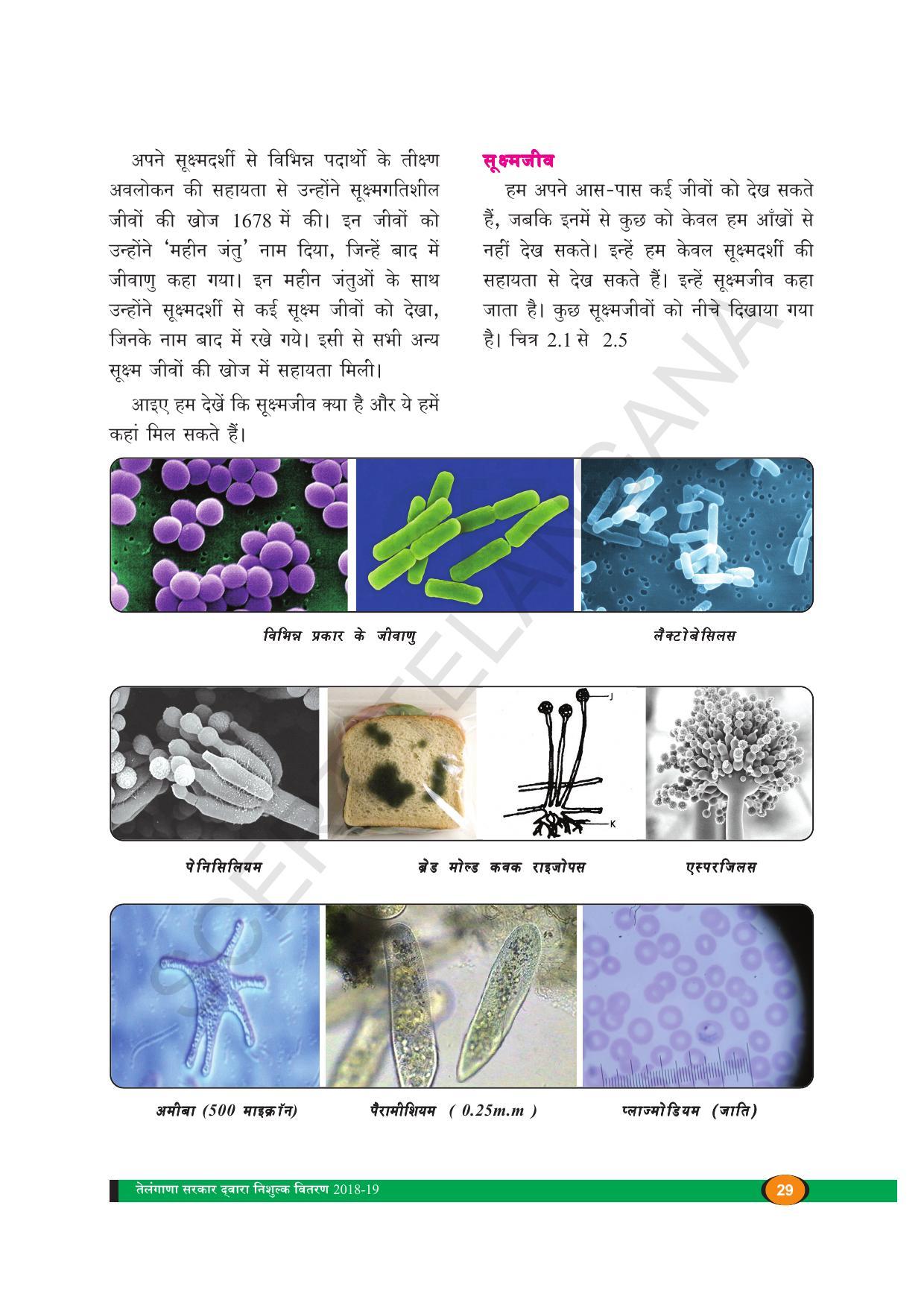 TS SCERT Class 8 Biological Science (Hindi Medium) Text Book - Page 41