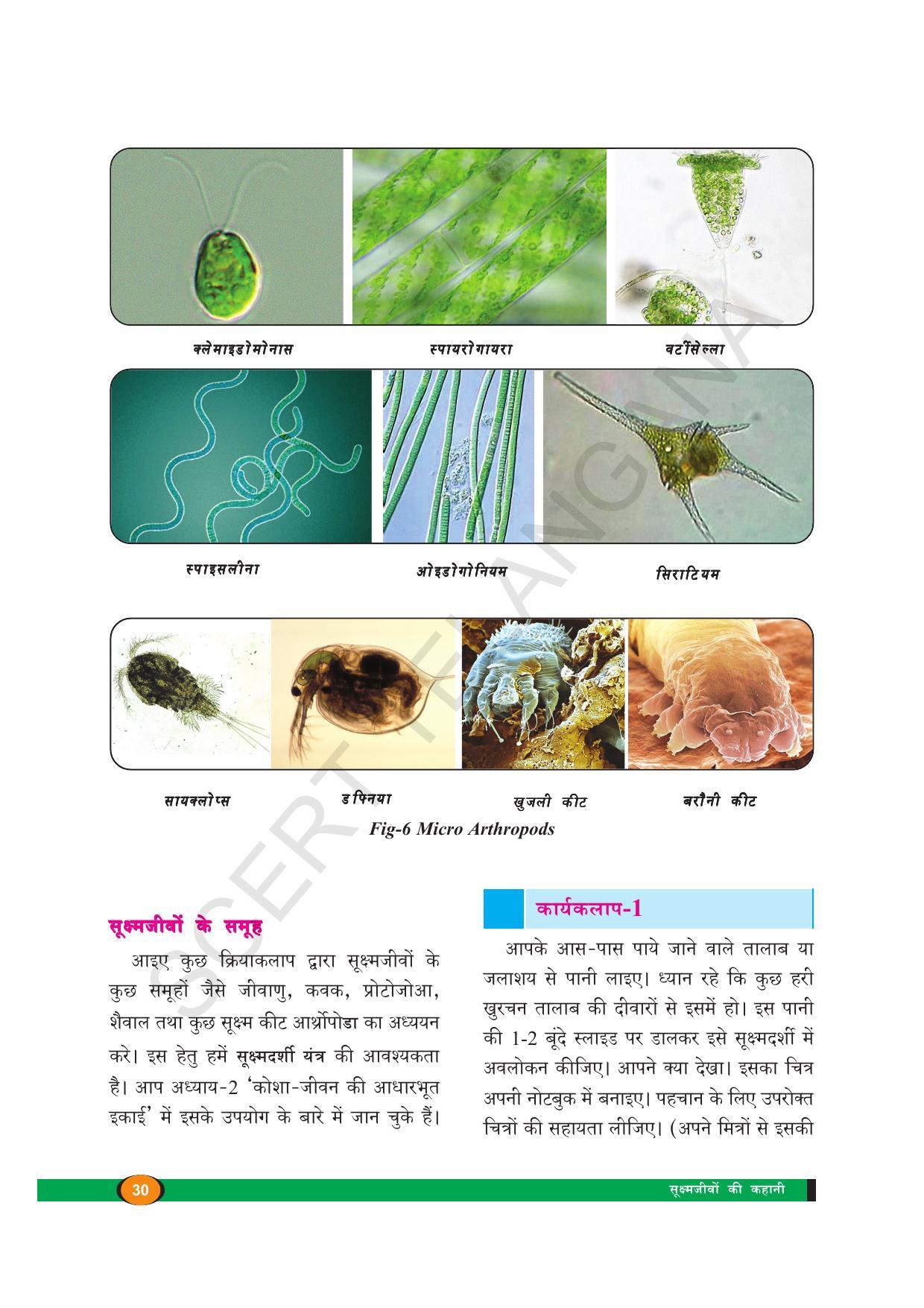 TS SCERT Class 8 Biological Science (Hindi Medium) Text Book - Page 42
