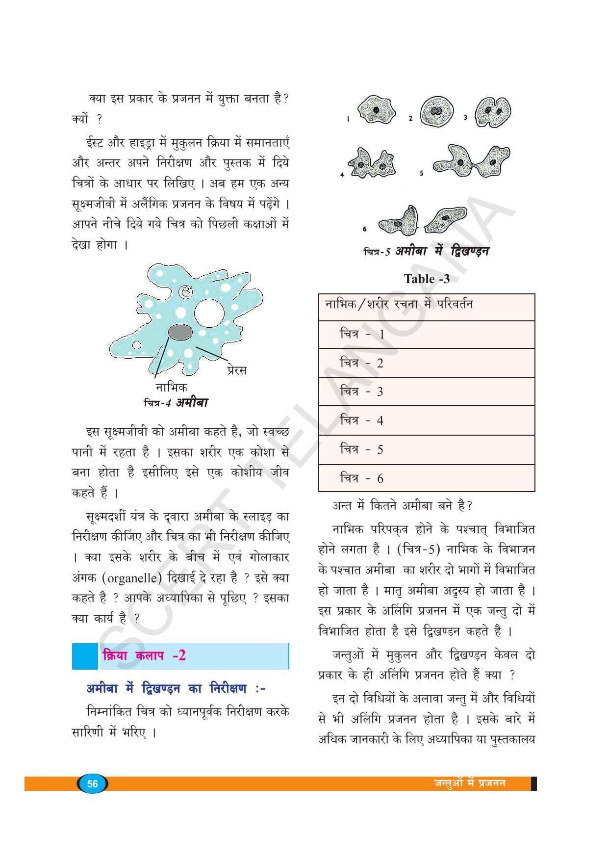 TS SCERT Class 8 Biological Science (Hindi Medium) Text Book - Page 68