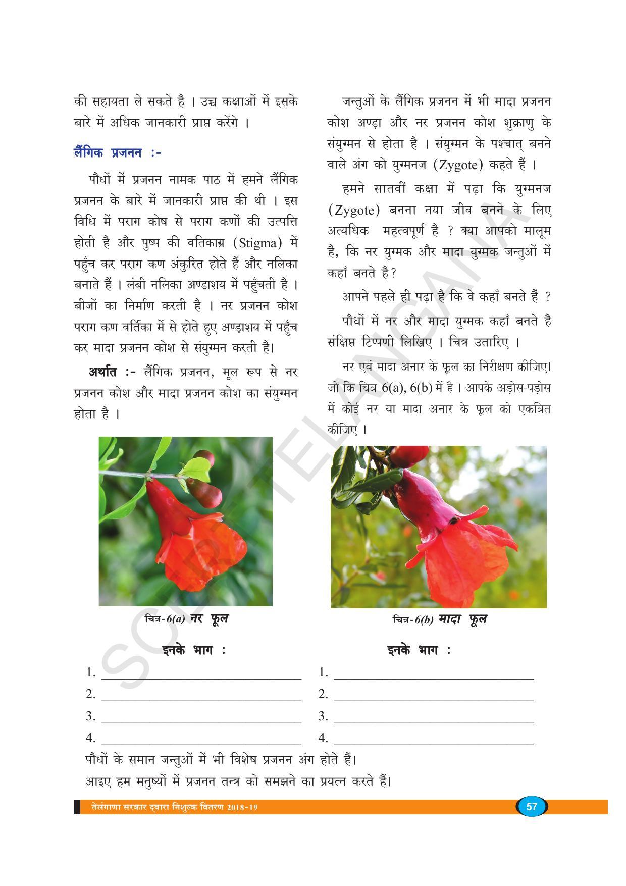 TS SCERT Class 8 Biological Science (Hindi Medium) Text Book - Page 69