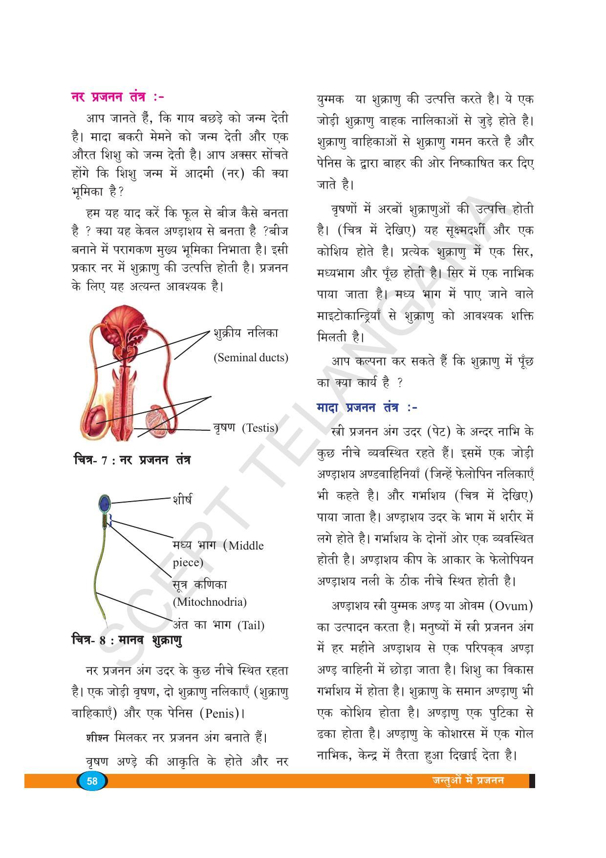 TS SCERT Class 8 Biological Science (Hindi Medium) Text Book - Page 70