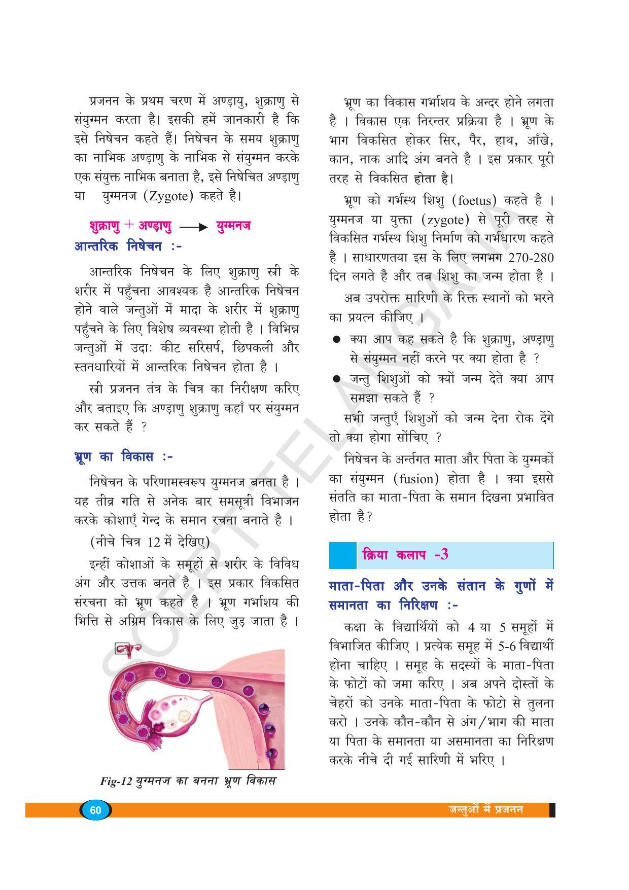 TS SCERT Class 8 Biological Science (Hindi Medium) Text Book - Page 72
