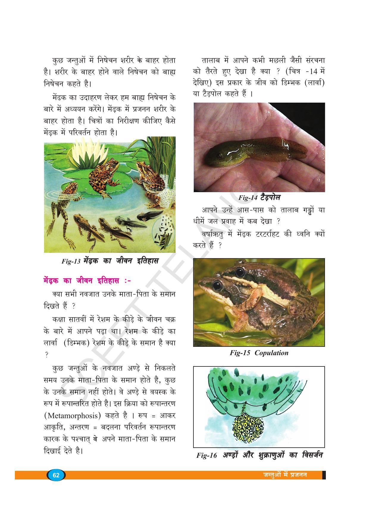 TS SCERT Class 8 Biological Science (Hindi Medium) Text Book - Page 74