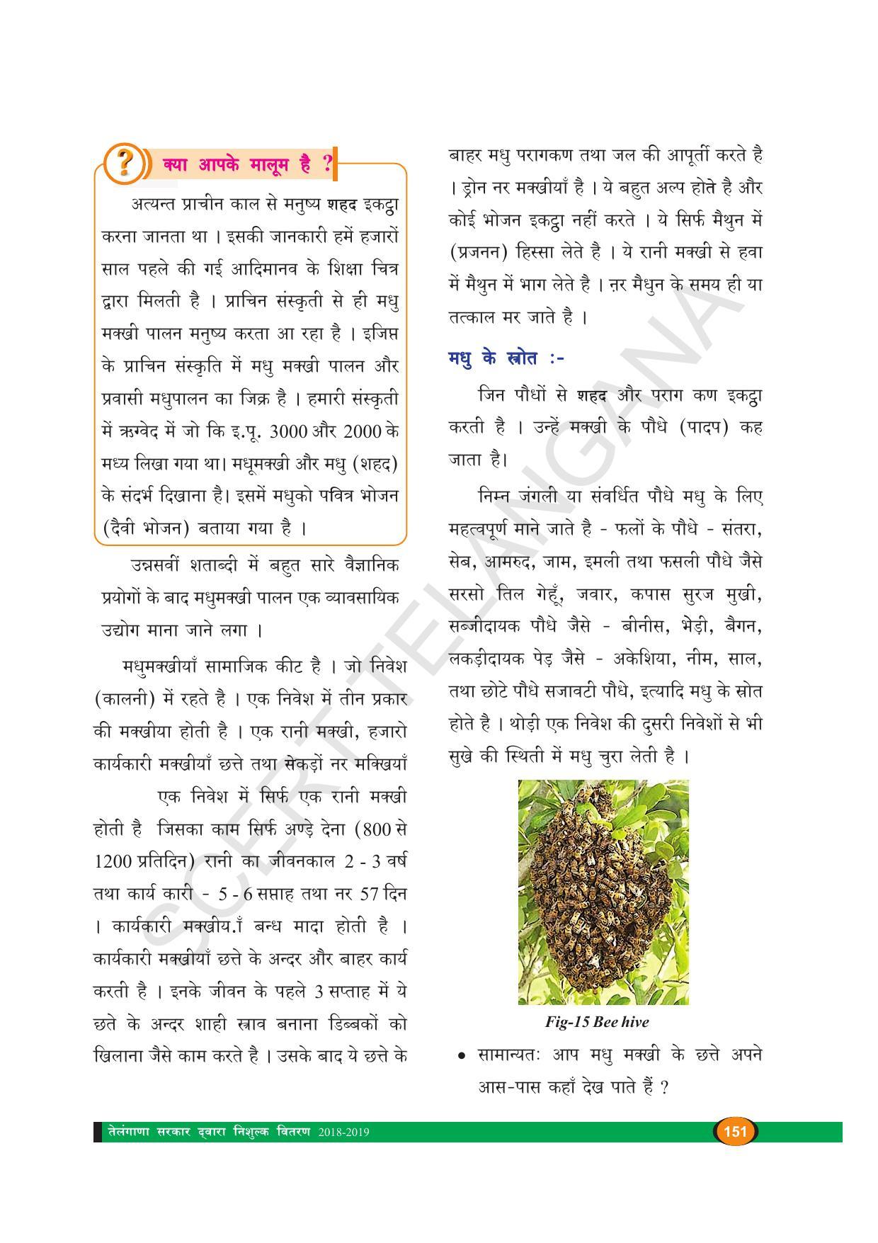 TS SCERT Class 8 Biological Science (Hindi Medium) Text Book - Page 163