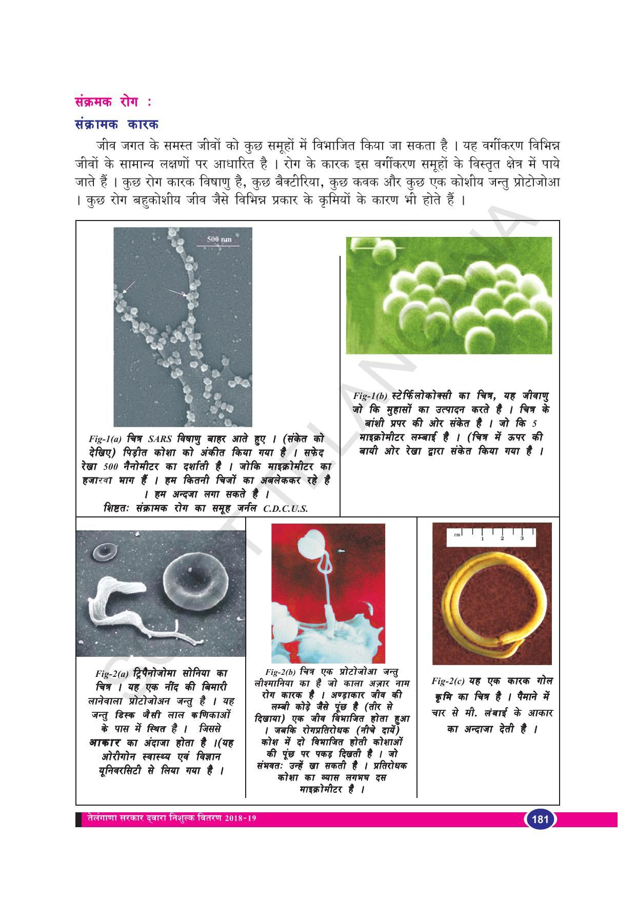 TS SCERT Class 8 Biological Science (Hindi Medium) Text Book - Page 193
