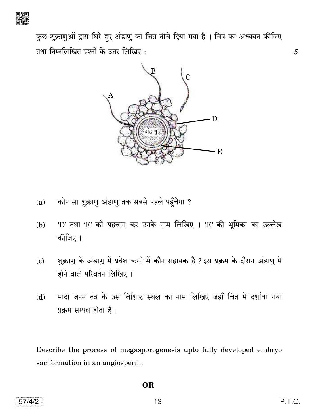 CBSE Class 12 57-4-2 Biology 2019 Question Paper - Page 13