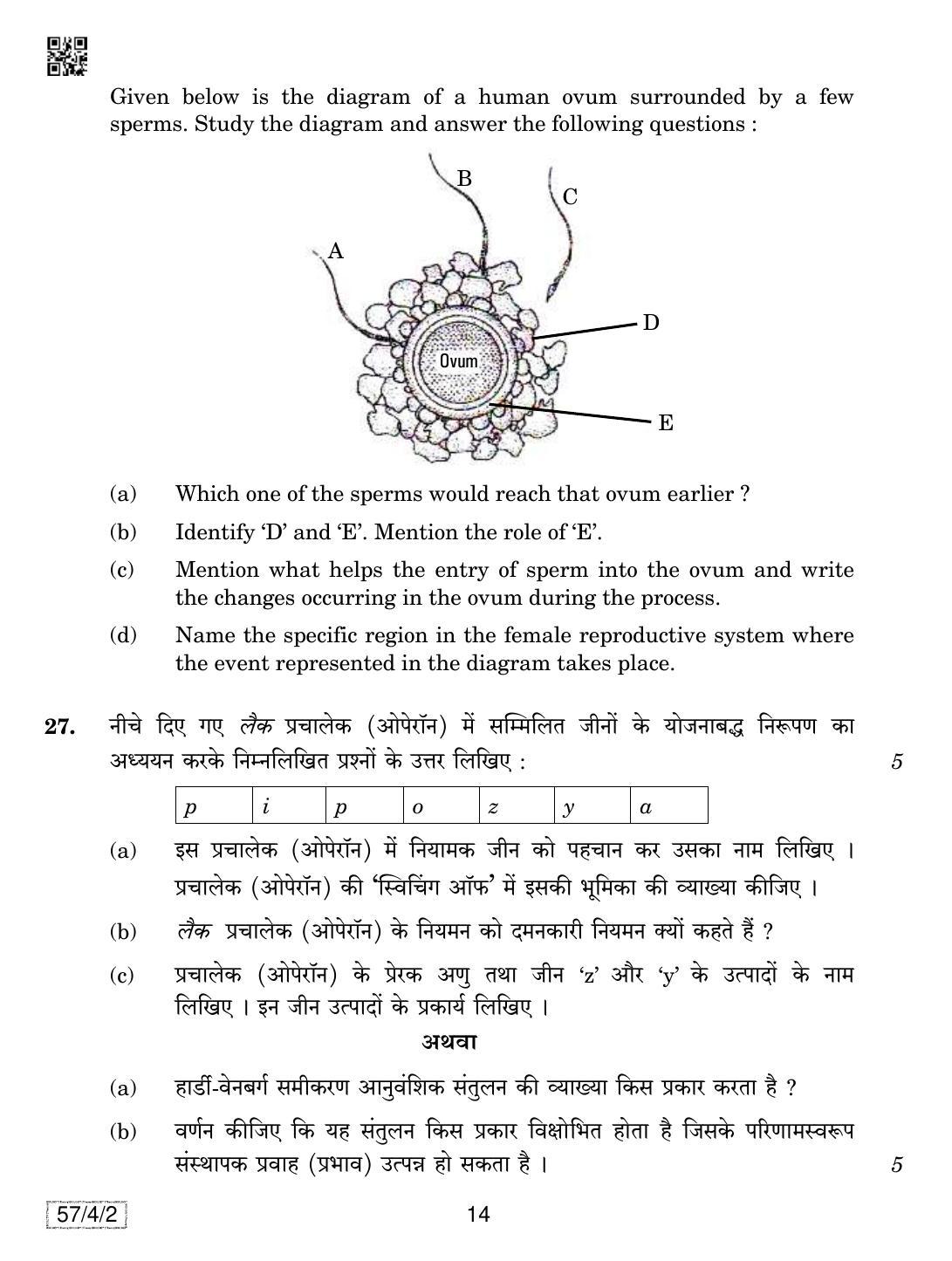 CBSE Class 12 57-4-2 Biology 2019 Question Paper - Page 14