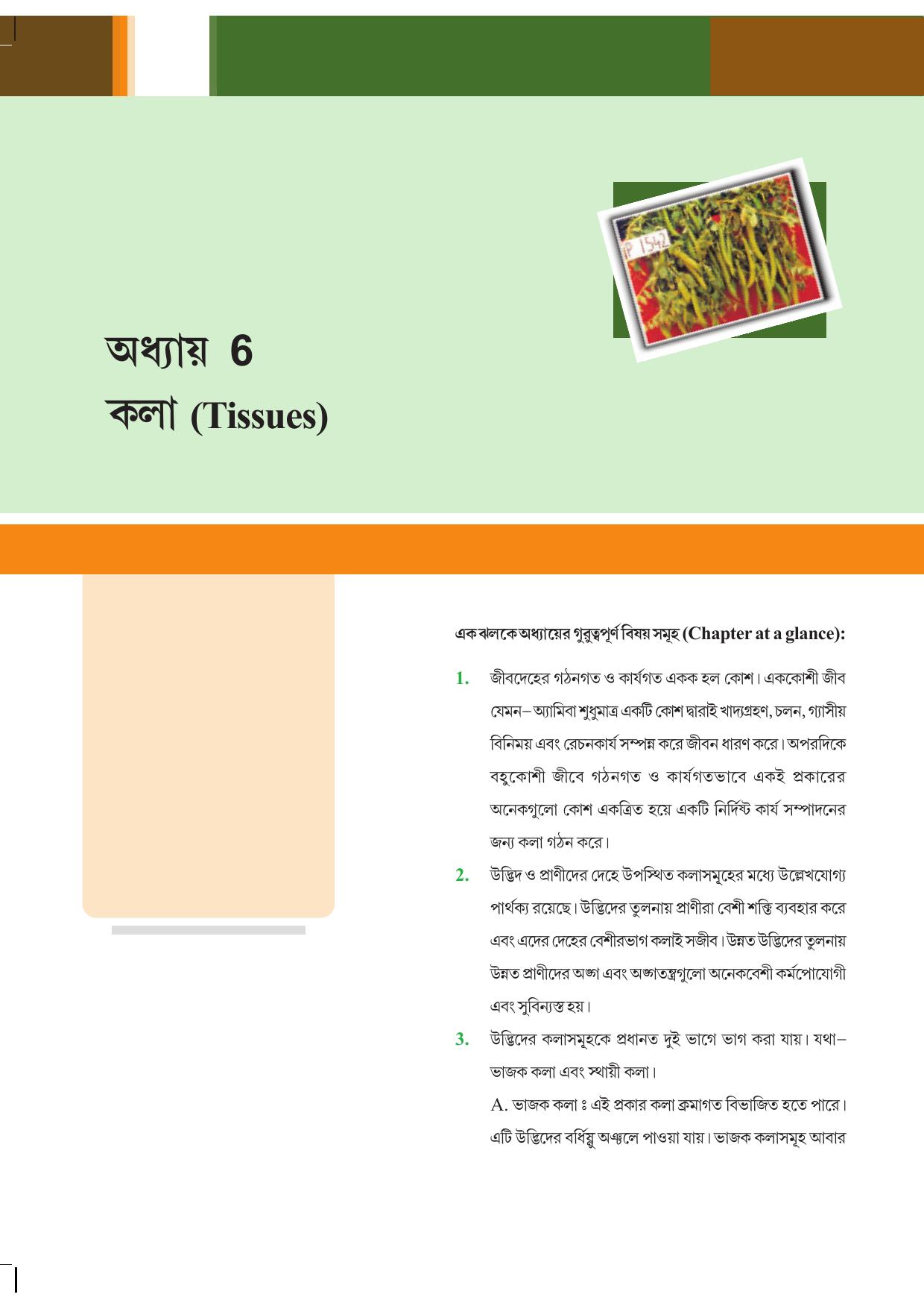 Tripura Board Class 9 Science English Version Workbooks - Page 82