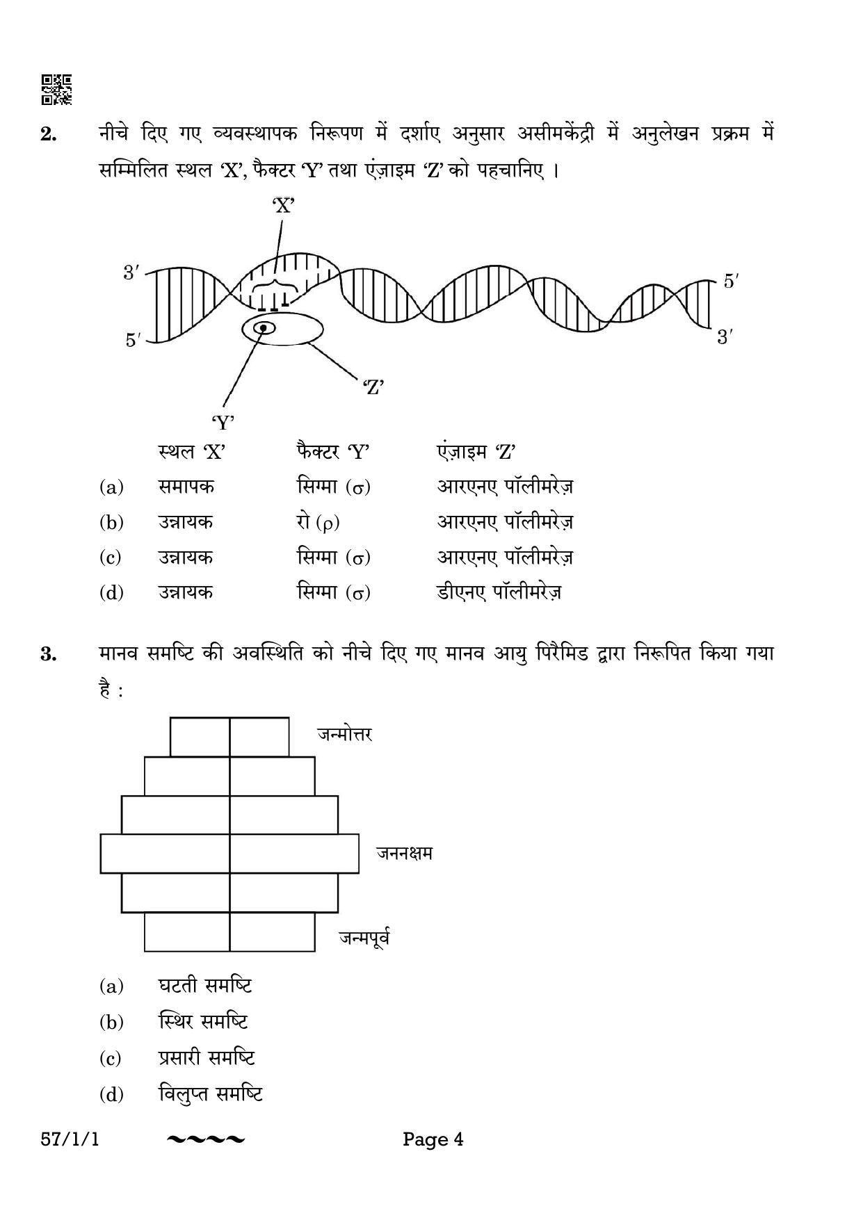 CBSE Class 12 57-1-1 Biology 2023 Question Paper - Page 4