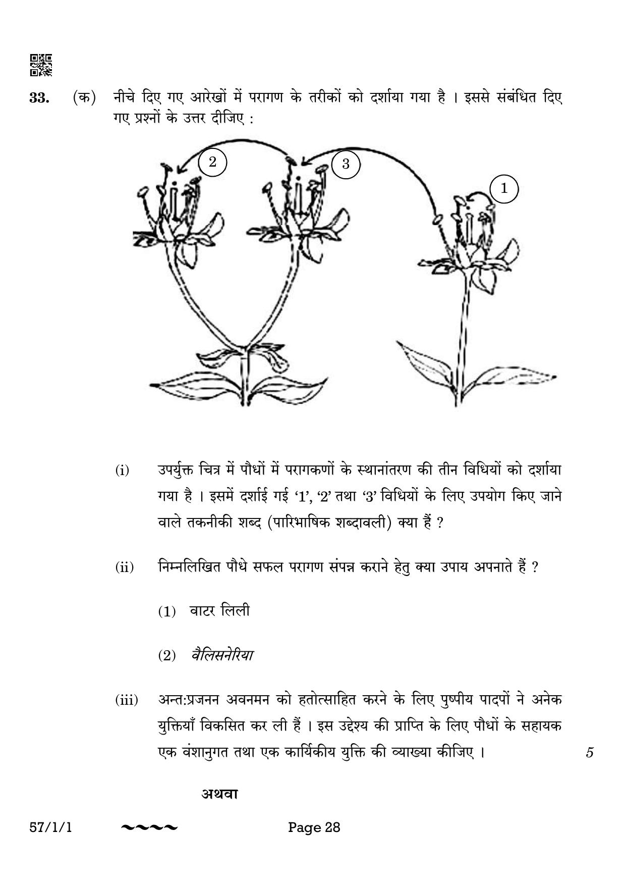 CBSE Class 12 57-1-1 Biology 2023 Question Paper - Page 28