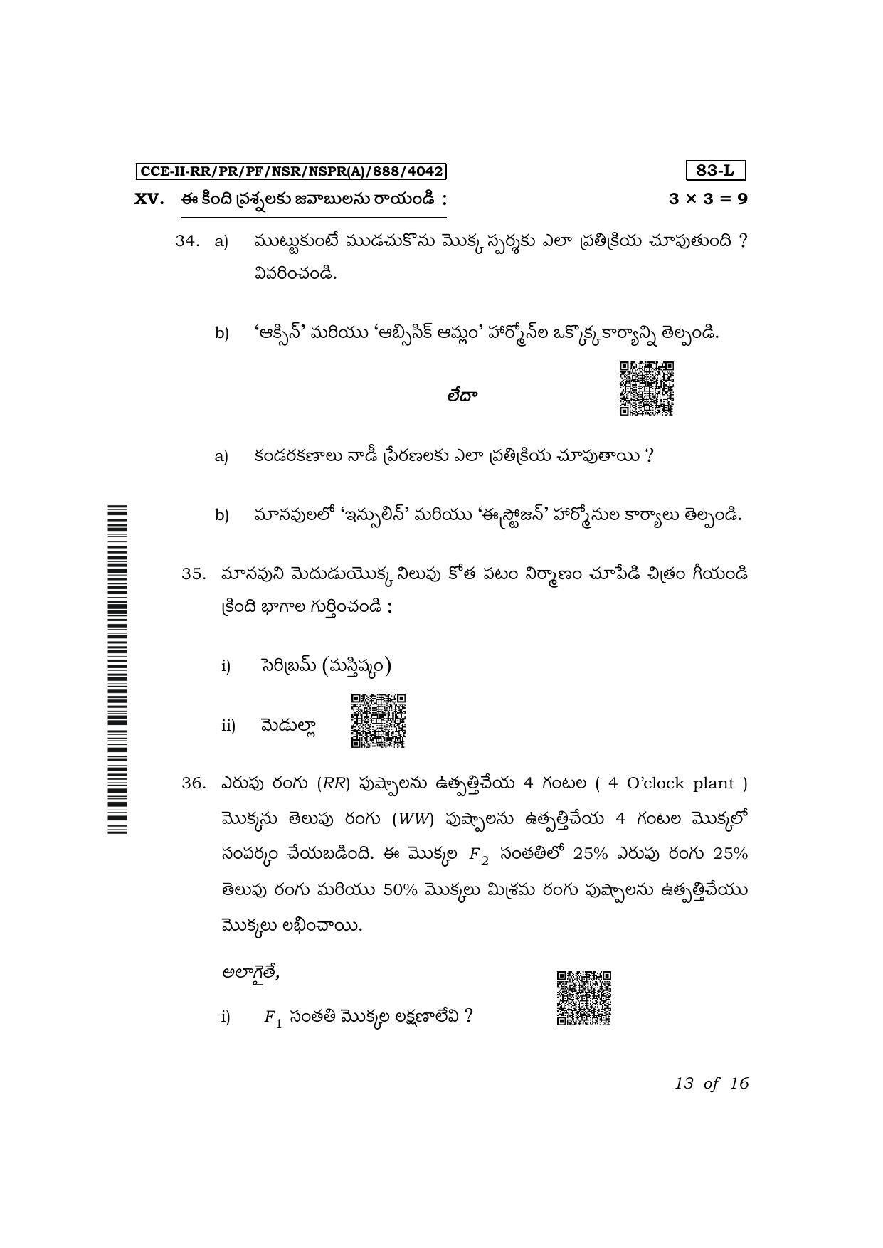 Karnataka SSLC Science (Telugu Medium) Exam 2 Question Paper 2024 (A Version) - Page 13