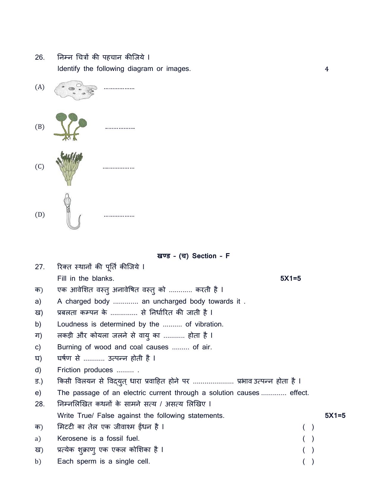 HPBOSE Class 8th Science Sample Question Papers 2025 - Page 7
