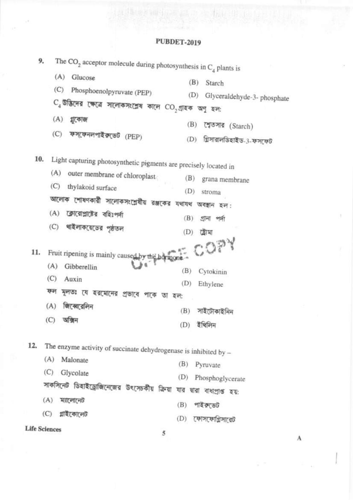 PUBDET 2019 Life Science Question Papers - Page 4