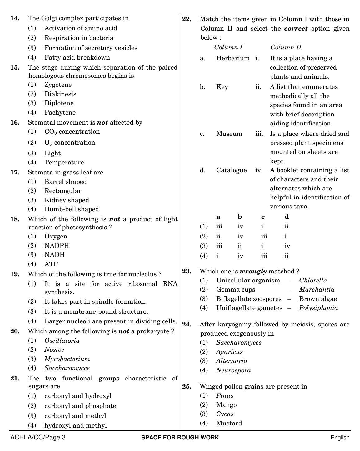 NEET English CC 2019 Question Paper - Page 3