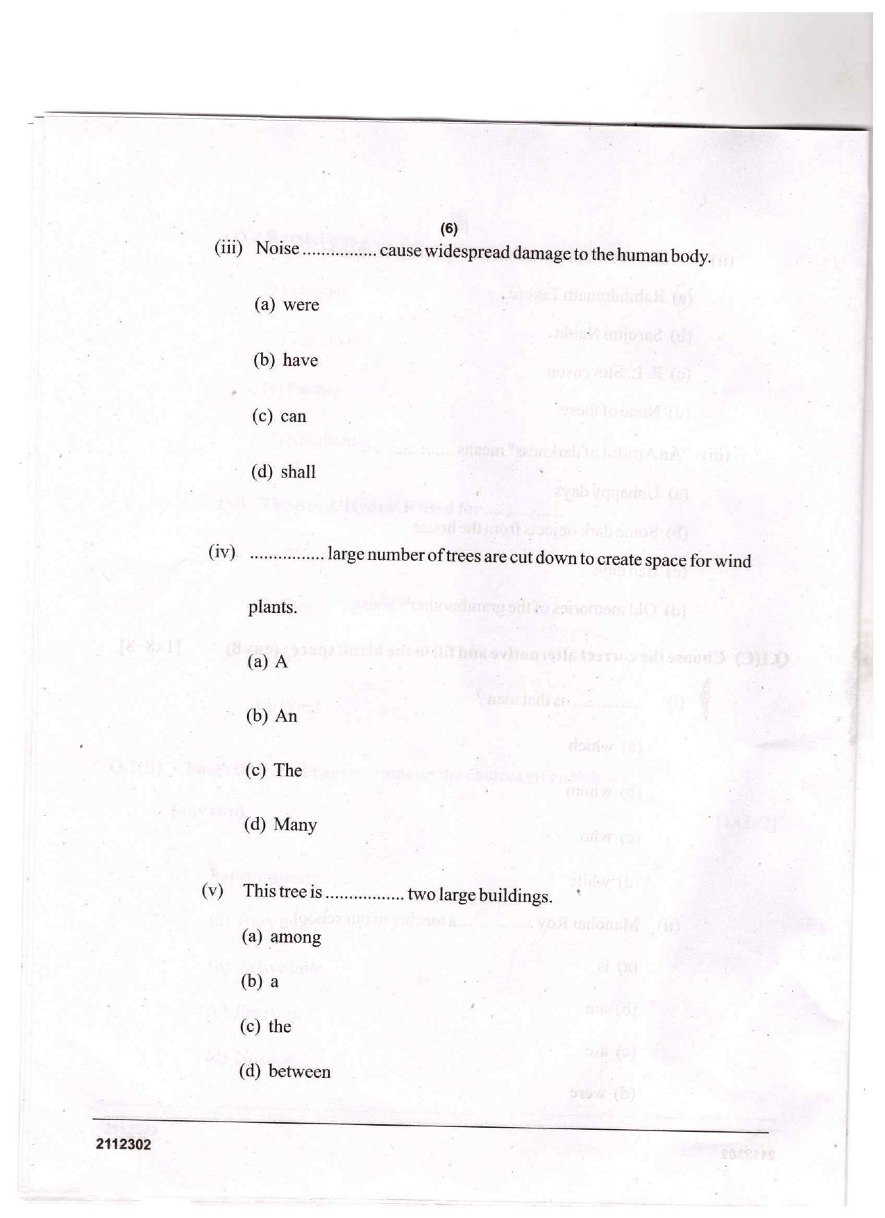 CGSOS Class 12 English Question Paper - Page 6