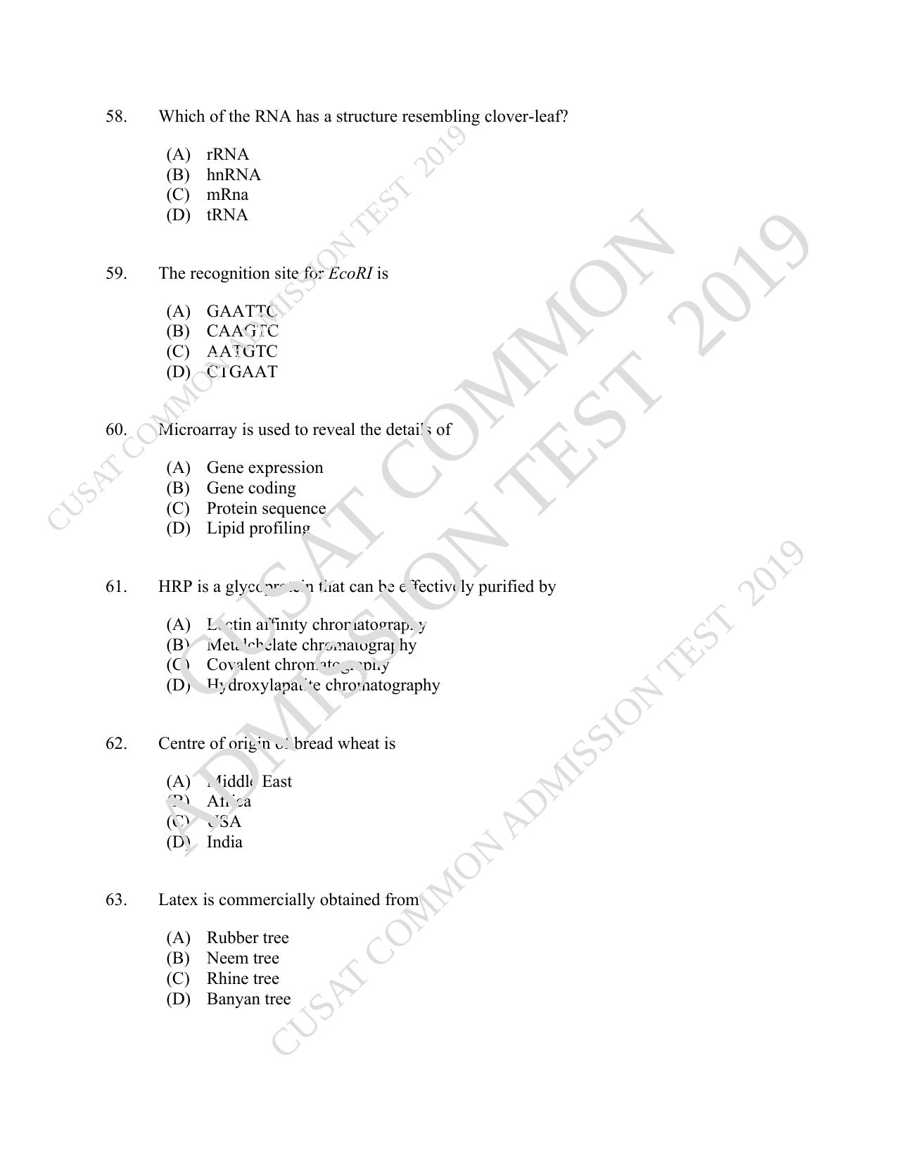 CUSAT CAT 2019 Biotech Question Paper - Page 11