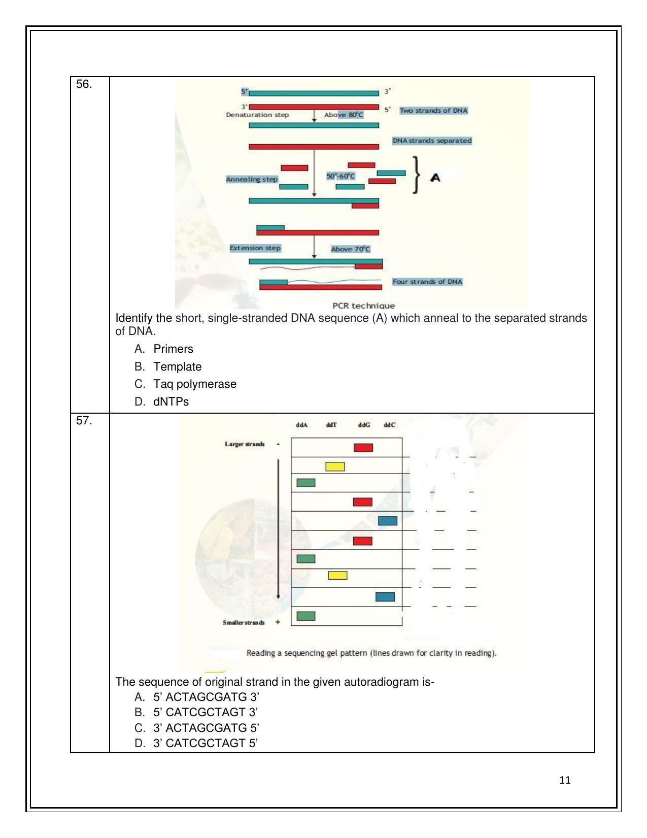 CBSE Class 12th Biotechnology Sample Question Paper 2021-22 - Page 11
