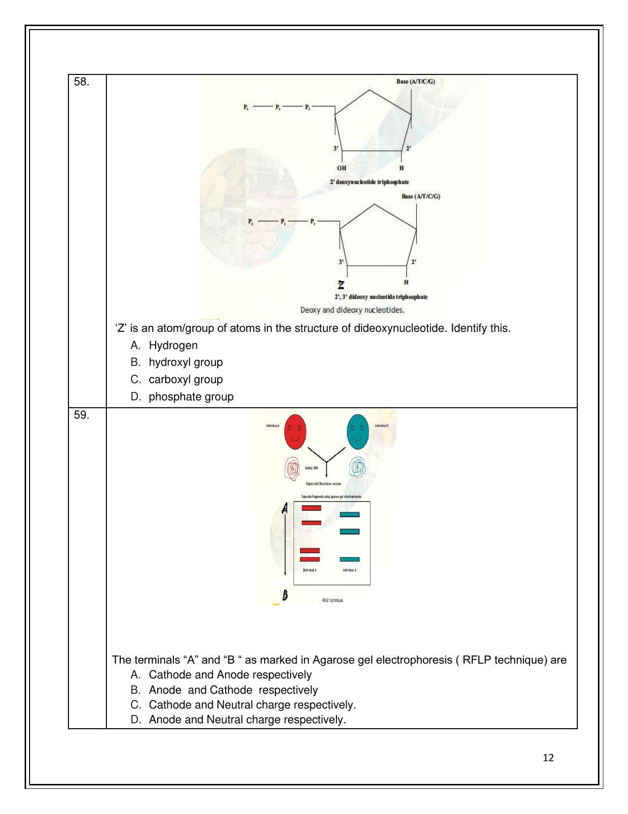 CBSE Class 12th Biotechnology Sample Question Paper 2021-22 - Page 12