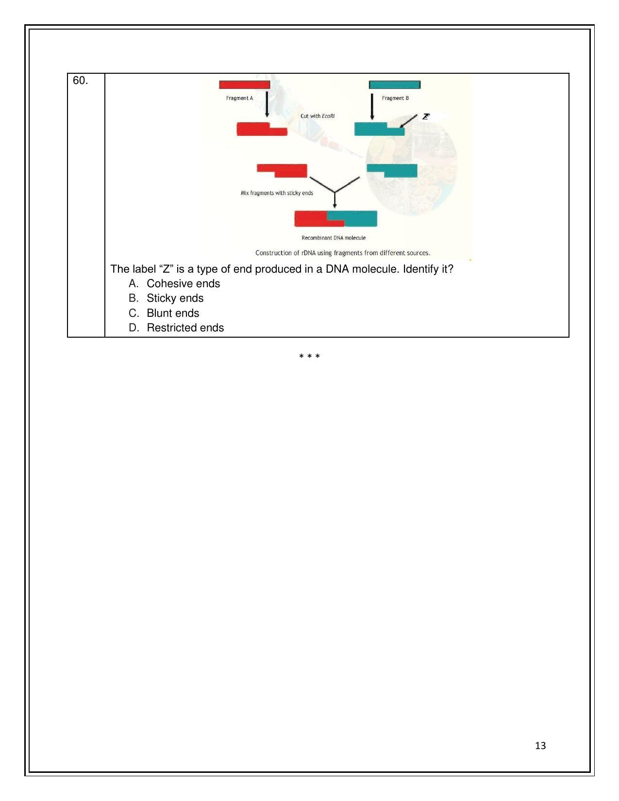 CBSE Class 12th Biotechnology Sample Question Paper 2021-22 - Page 13