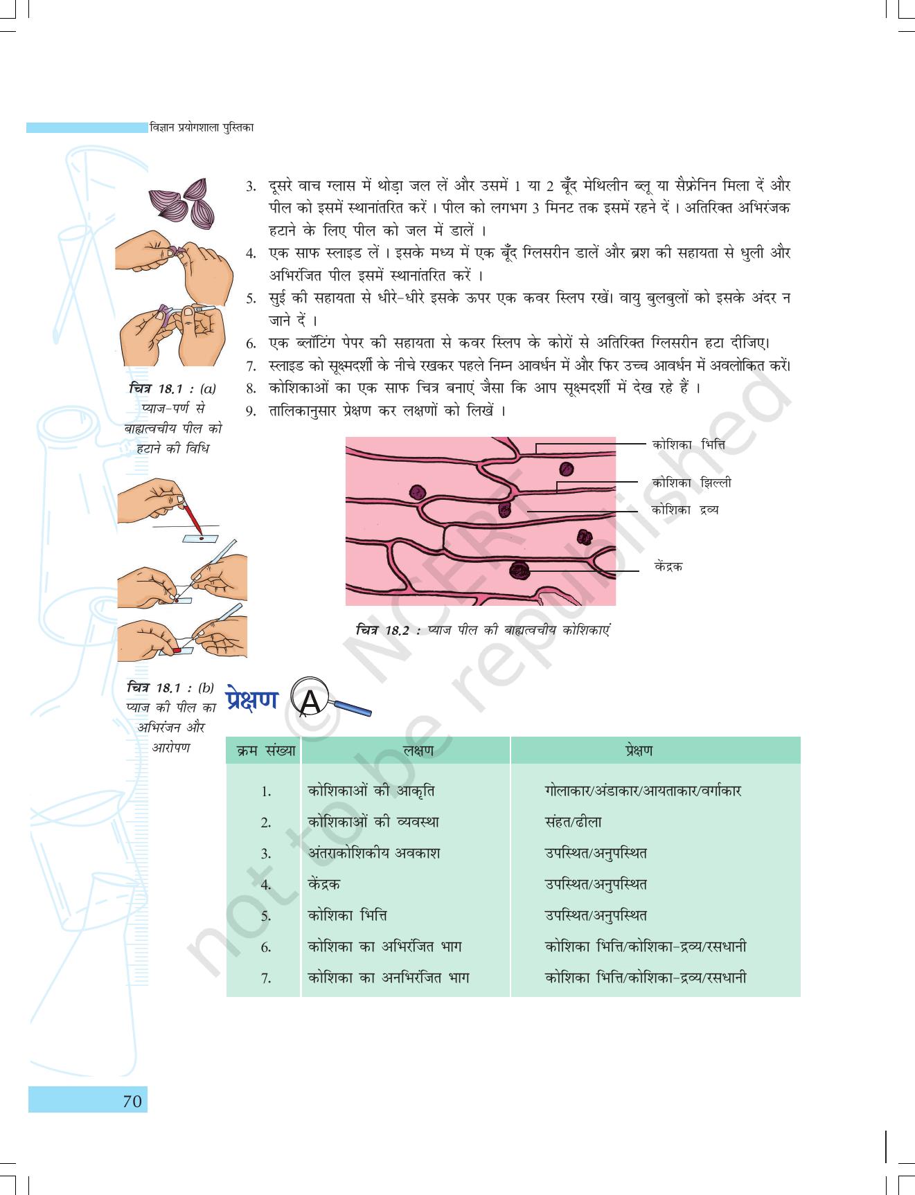 NCERT Laboratory Manuals for Class IX विज्ञान - सजीव जगत - Page 2