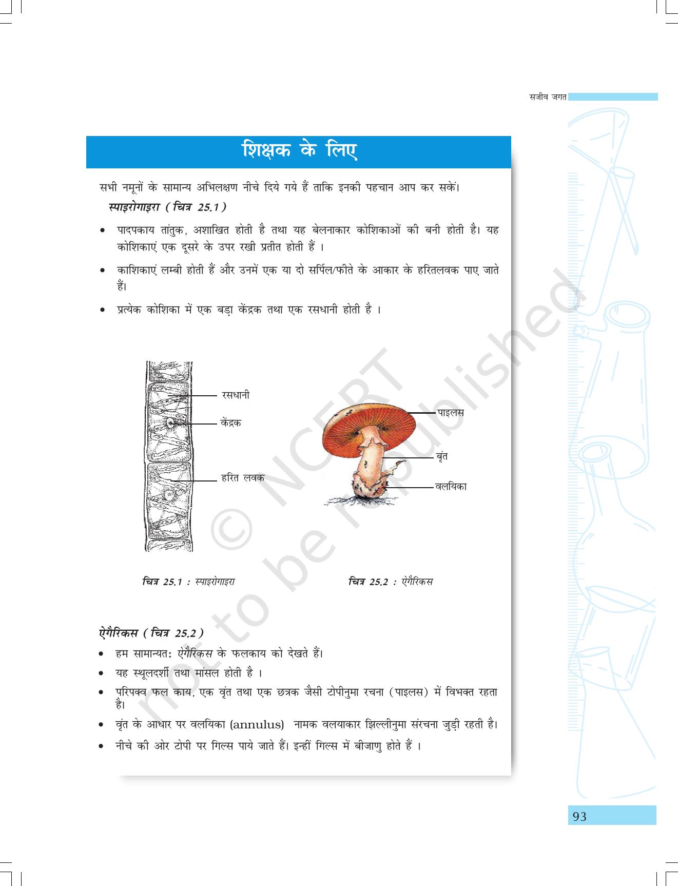 NCERT Laboratory Manuals for Class IX विज्ञान - सजीव जगत - Page 25
