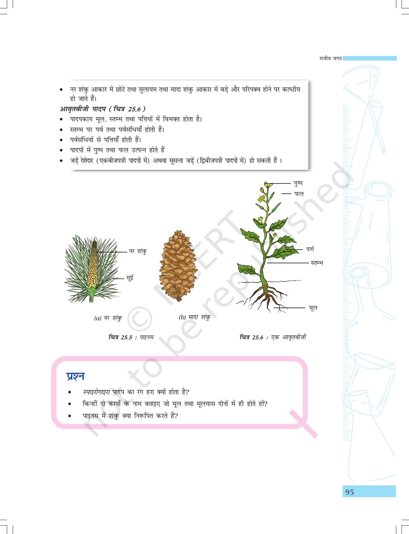 NCERT Laboratory Manuals for Class IX विज्ञान - सजीव जगत - Page 27