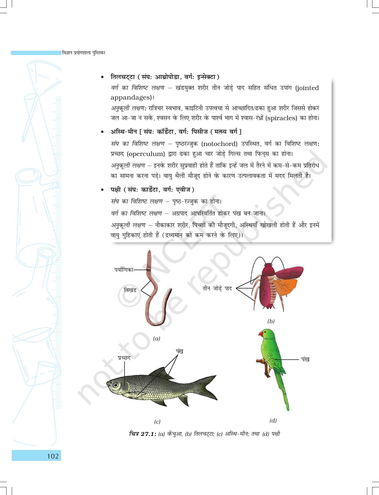 NCERT Laboratory Manuals for Class IX विज्ञान - सजीव जगत - Page 34