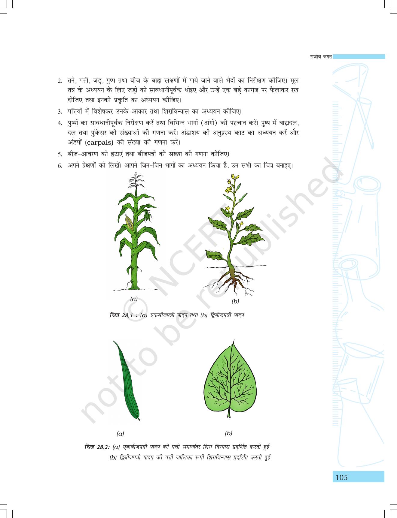 NCERT Laboratory Manuals for Class IX विज्ञान - सजीव जगत - Page 37