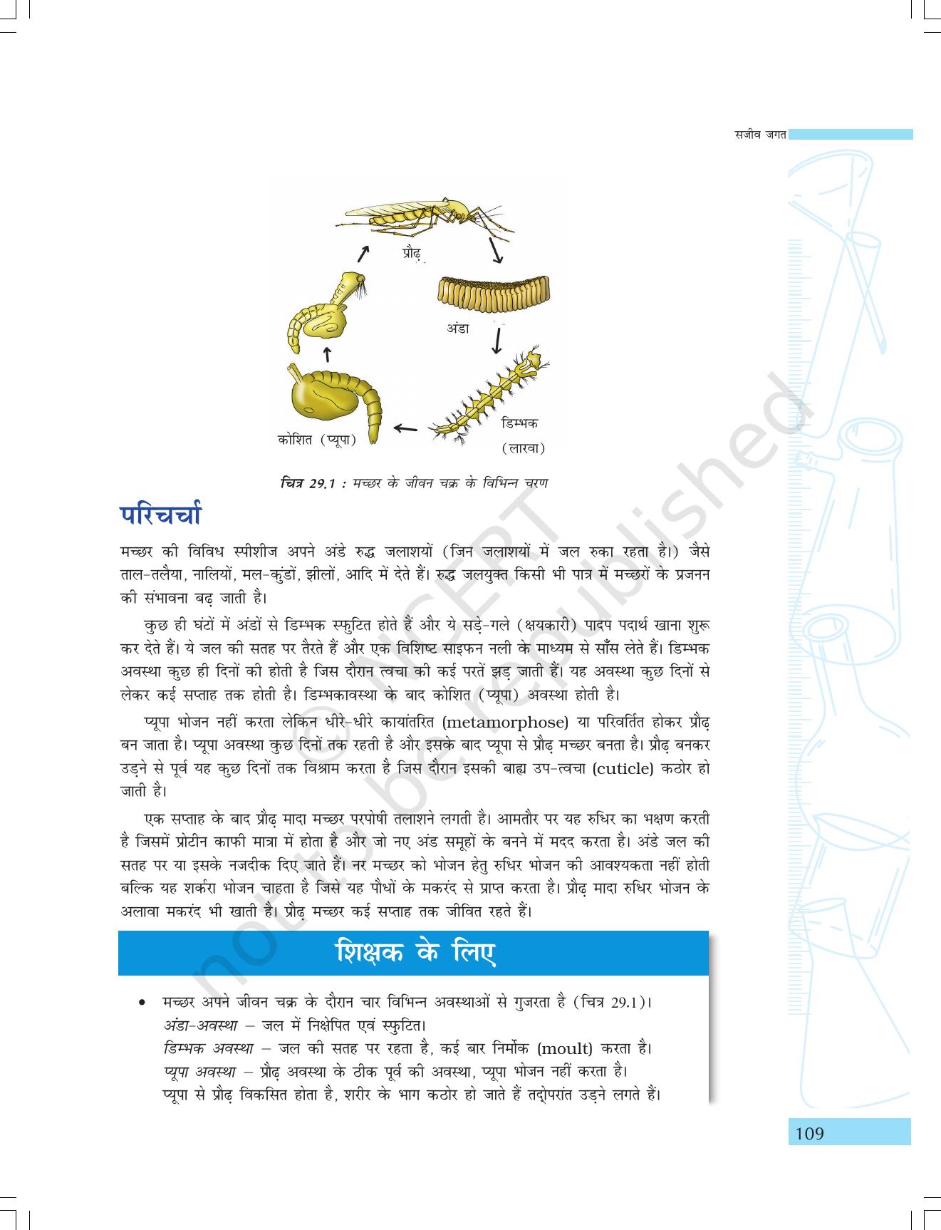NCERT Laboratory Manuals for Class IX विज्ञान - सजीव जगत - Page 41