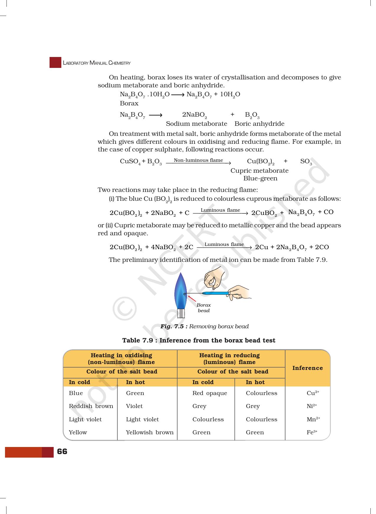 NCERT Laboratory Manuals for Class XII Chemistry - Unit 7 (Systematic Qualitative Analysis) - Page 18