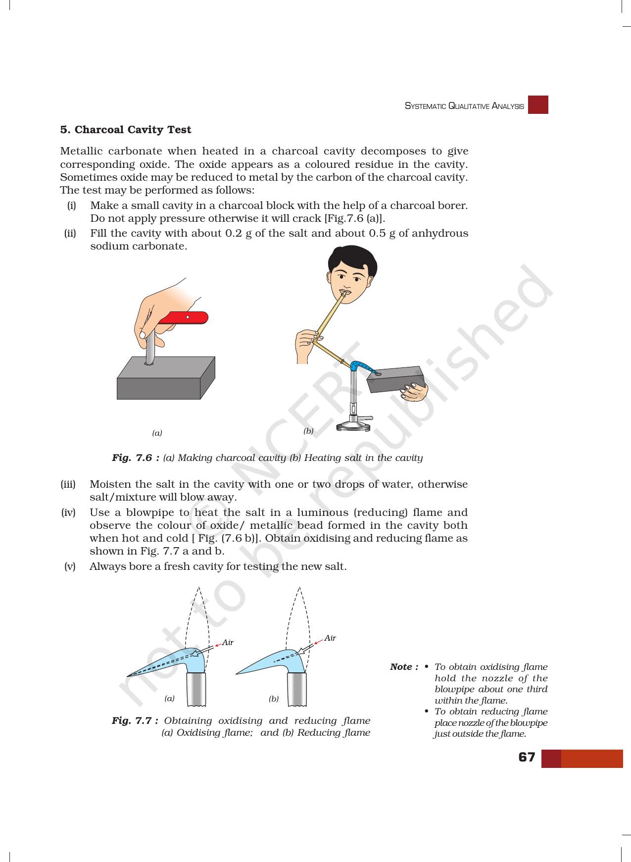 NCERT Laboratory Manuals for Class XII Chemistry - Unit 7 (Systematic Qualitative Analysis) - Page 19