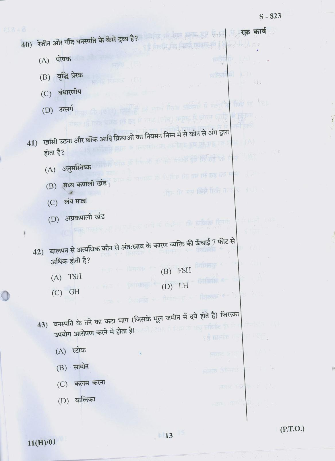 Gujarat Board Class 10th 11 HINDI 2019 Question Paper - Page 13