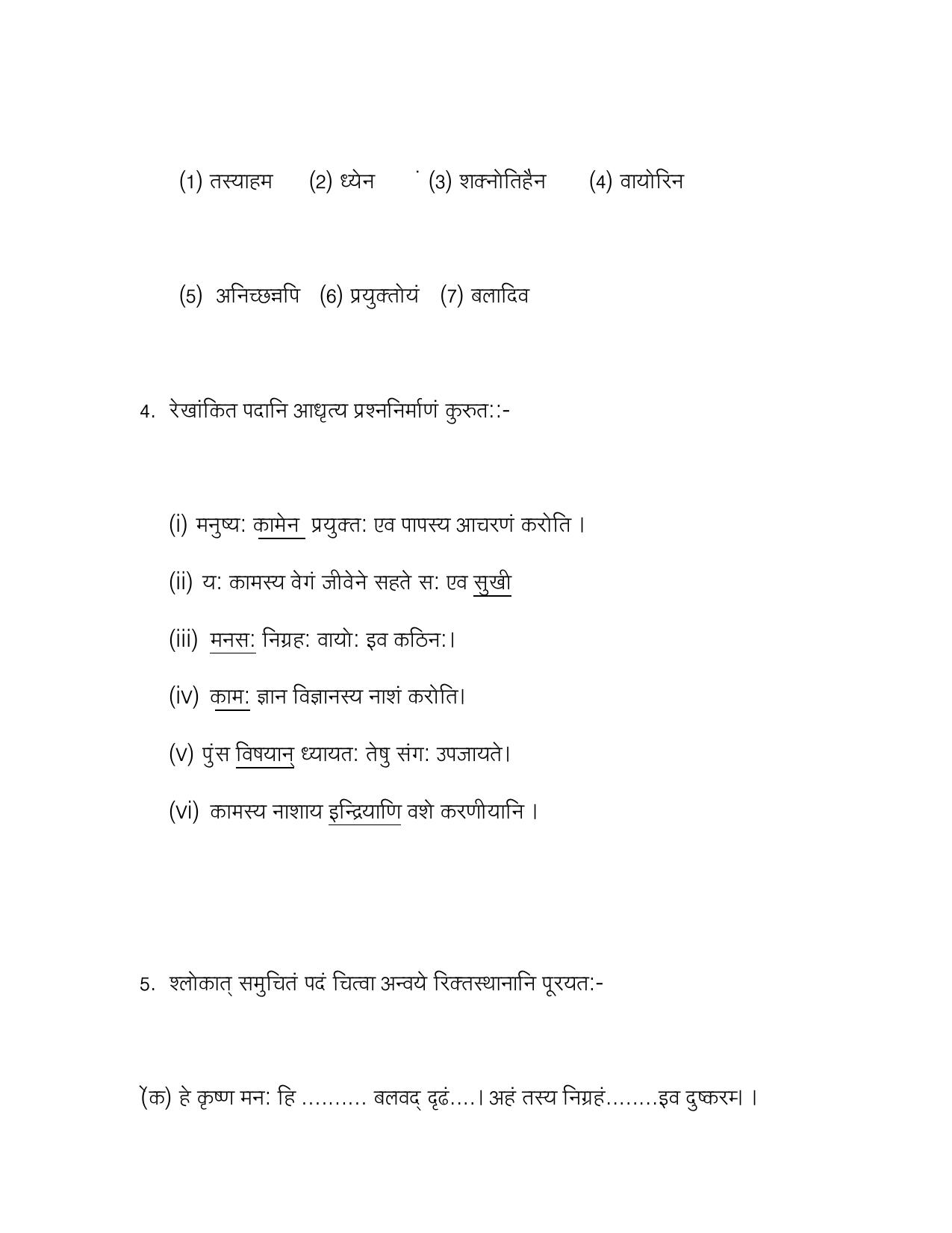 CBSE Worksheets for Class 10 Sanskrit Assignment 5 - Page 3