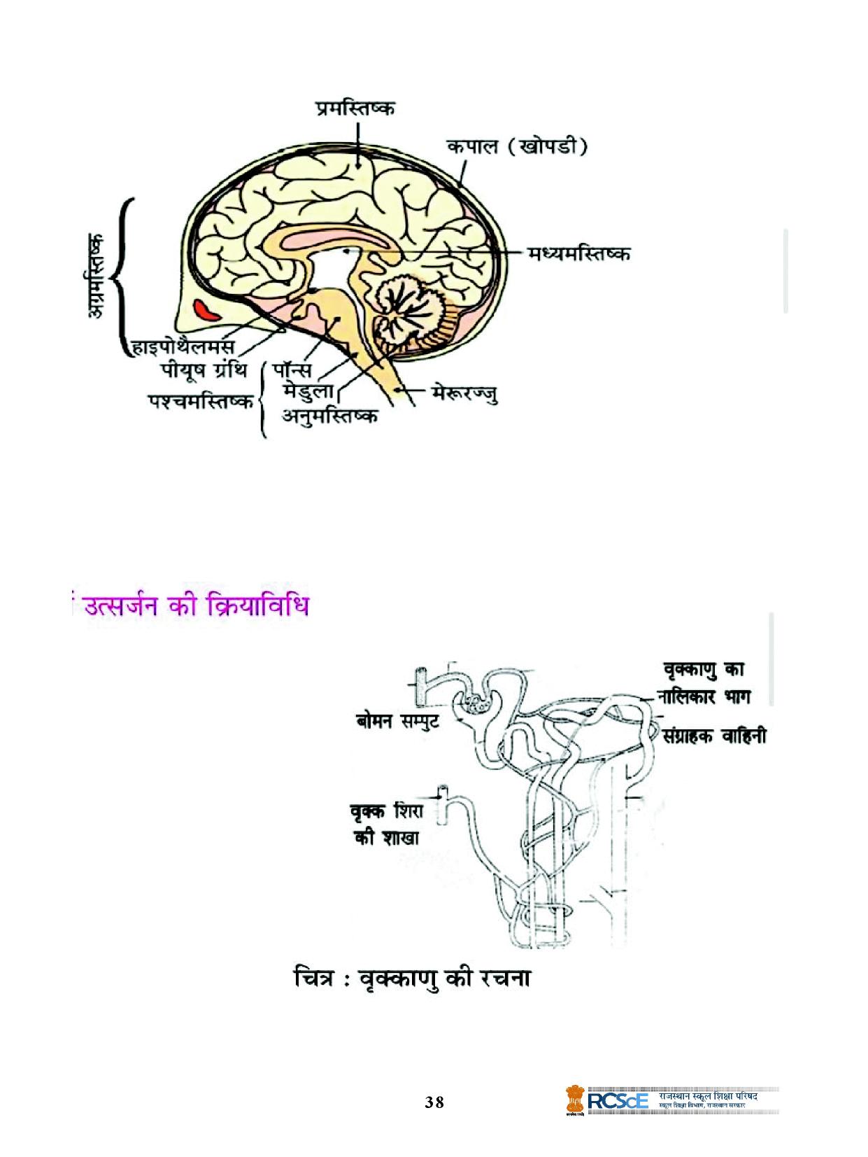 RBSE Class 10 Question Bank - Page 238