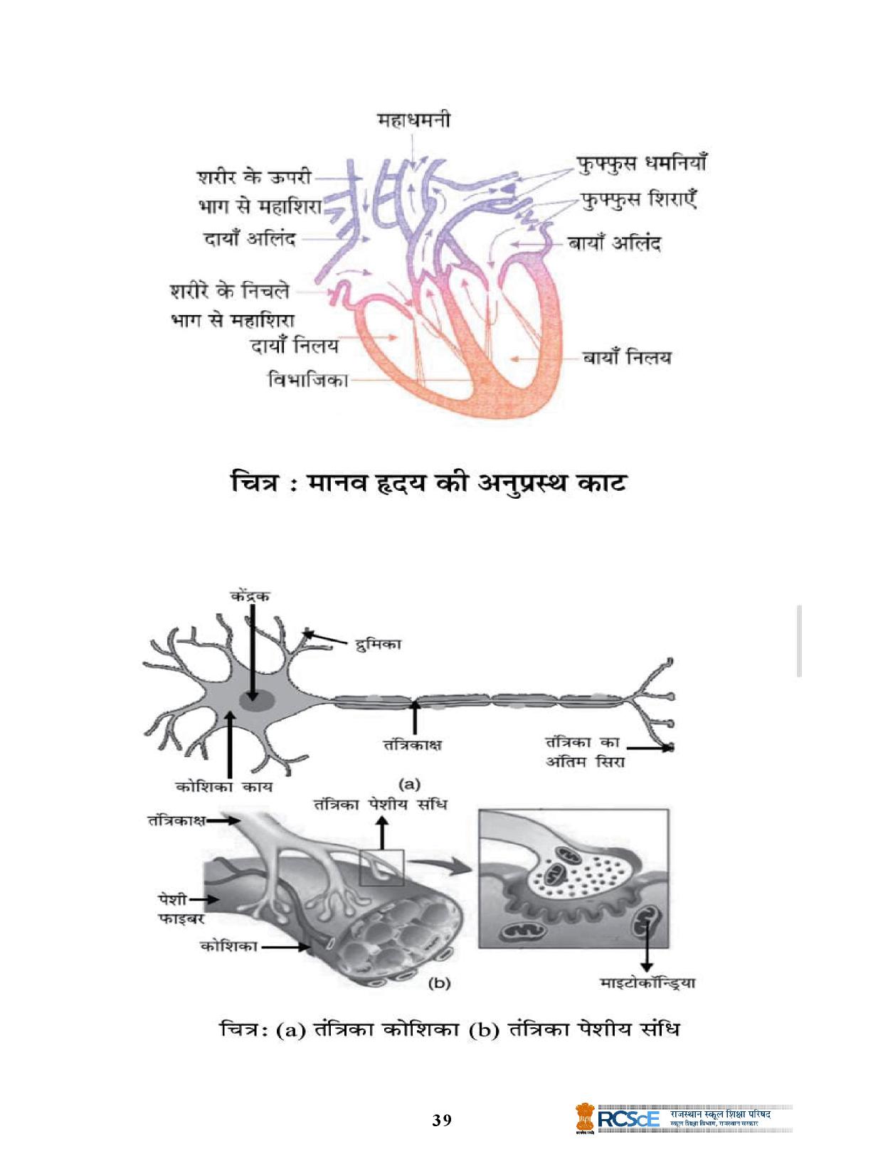 RBSE Class 10 Question Bank - Page 239