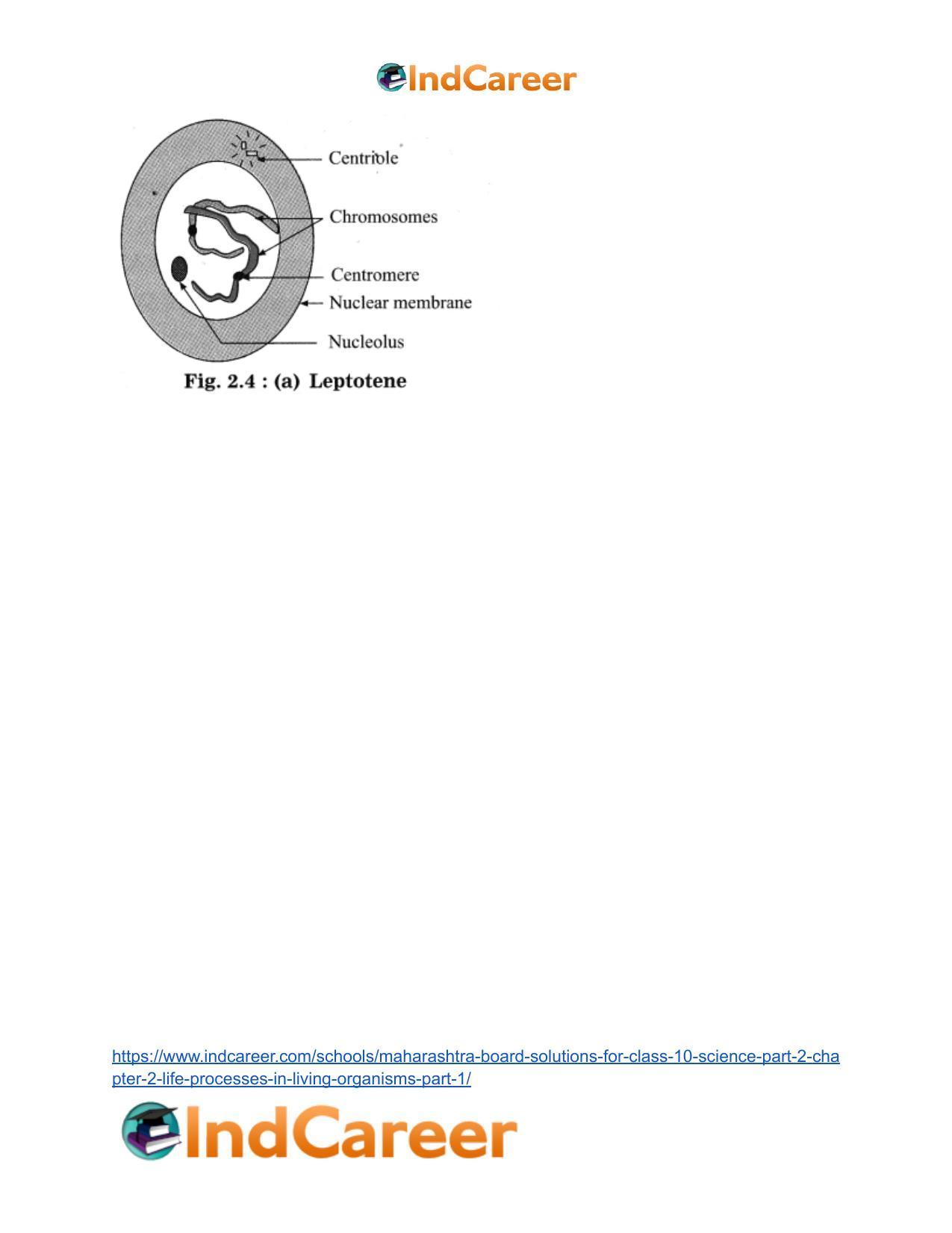 Maharashtra Board Solutions for Class 10- Science (Part 2): Chapter 2- Life Processes in Living Organisms Part – 1 - Page 13