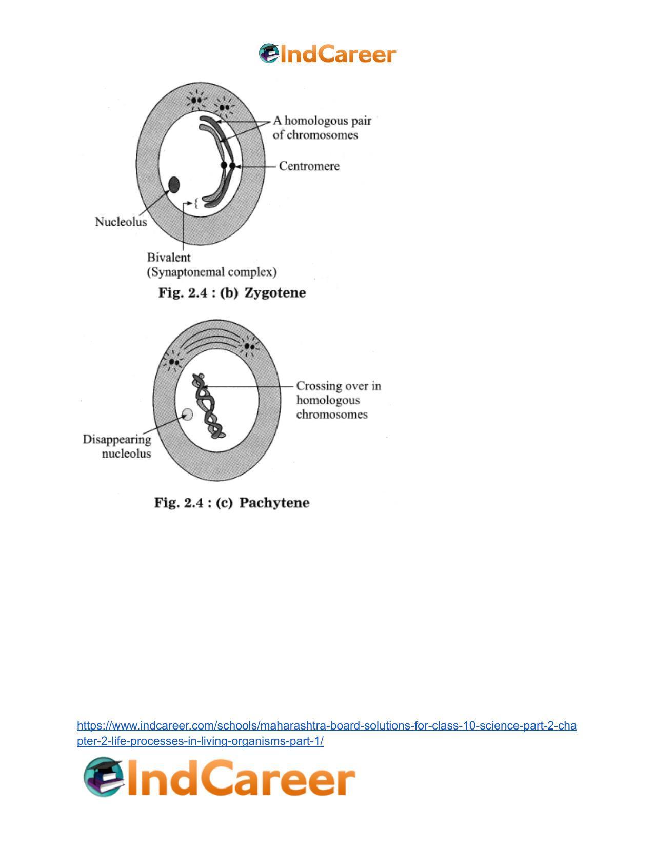 Maharashtra Board Solutions for Class 10- Science (Part 2): Chapter 2- Life Processes in Living Organisms Part – 1 - Page 14